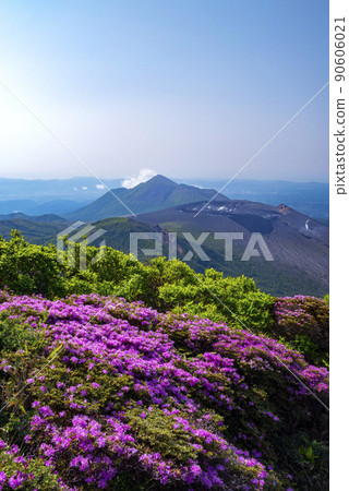 美山霧島開花 空國山 90606021