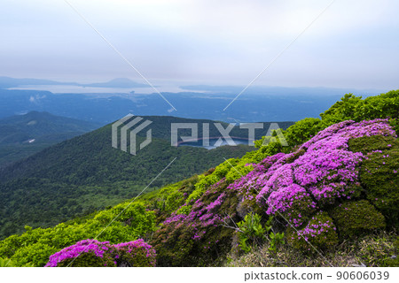 美山霧島開花 空國山 90606039