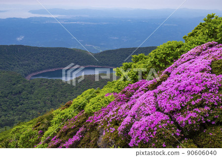 Miyama Kirishima Blooming Mt. Karakuni 90606040