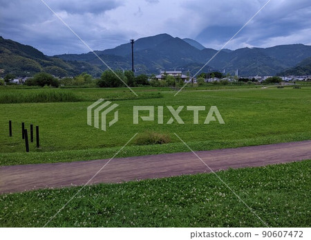 Landscape of a park with many lawns 90607472