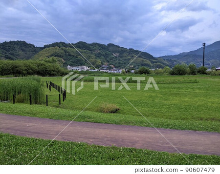 A park with a lot of lawns 90607479