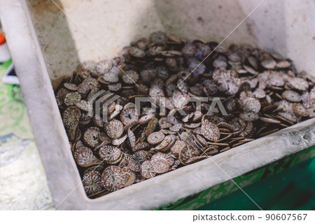 Dried Traditional Maldivian Betel Nut on the Market in Male City, Maldives Dried Traditional Maldivian Betel Nut on the Market in Male City, Maldives 90607567