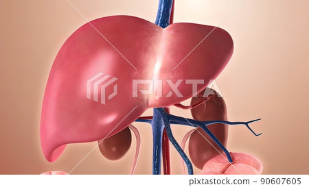 Journey through the body. 3D 90607605