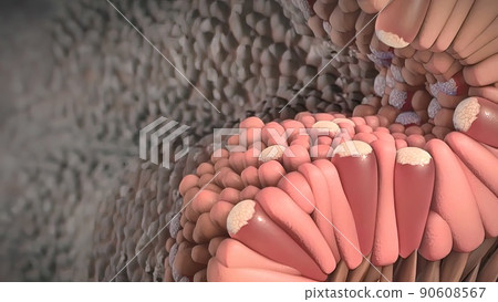 Division and growth of cancerous cells Division and growth of cancerous cells 90608567