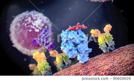 Cell structure and components, mitochondria, nucleus and cytoplasm 90608609