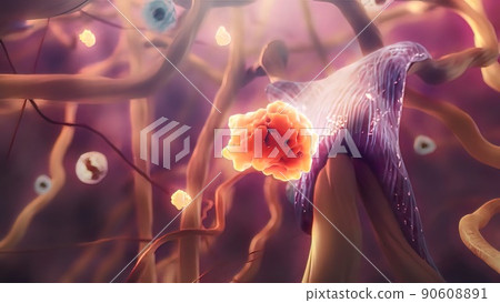 Connective Tissue Growth Factor promotes the proliferation and differentiation of chondrocytes. 90608891