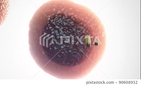 Bacteria cell destruction 3D illustration Bacteria cell destruction 3D illustration 90608932