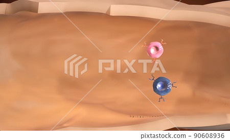 Cell Mediated Induction of Immune Response Cell Mediated Induction of Immune Response 90608936