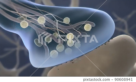 Brain cell synapse showing chemical messengers or neurotransmitters released 90608941
