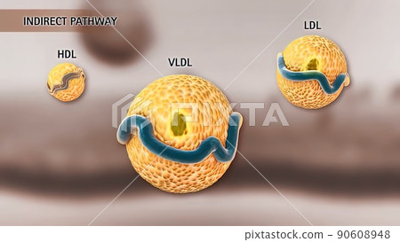 High-density lipoprotein metabolism and reverse cholesterol transport High-density lipoprotein metabolism and reverse cholesterol transport 90608948