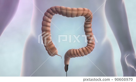 Colonoscopy is the visualization of the large intestine with a tube called a colonoscope. 90608970