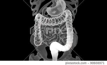Colonoscopy is the visualization of the large intestine with a tube called a colonoscope. 90608971