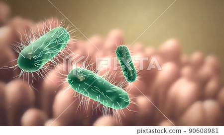 Intestinal villi with bacteria and viruses. 90608981