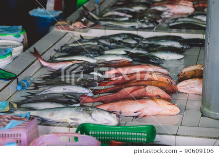Fresh Fishes on the Fish Central Market in Male City 90609106