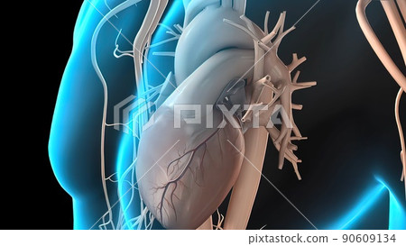 Coronary artery spasm is a brief, sudden narrowing of one of these arteries. Coronary artery spasm is a brief, sudden narrowing of one of these arteries. 90609134