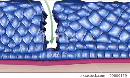 Cancer papilloma virus components 90609159