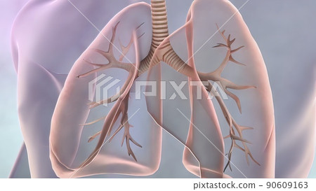 Awareness of lung cancer, pneumonia, asthma, COPD, pulmonary hypertension, world no tobacco day and eco air pollution. 90609163
