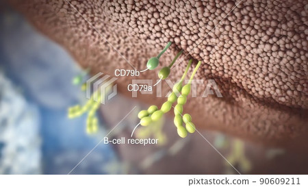 Cells provide main functions.They provide structure and support 90609211