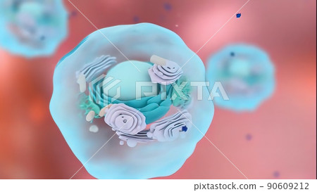 Cell nucleus and its internal structure 90609212