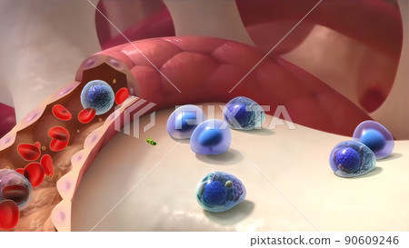 Spread of healthy cell and cancer cell Spread of healthy cell and cancer cell 90609246
