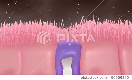 Intestinal villi with bacteria and viruses. 90609260