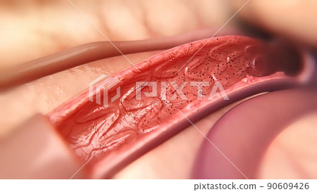 Circulatory System and the Way of Blood from the Heart Circulatory System and the Way of Blood from the Heart 90609426