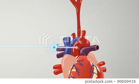 the medulla oblongata, part of the brainstem responsible for autonomic homeostasis the medulla oblongata, part of the brainstem responsible for autonomic homeostasis 90609438