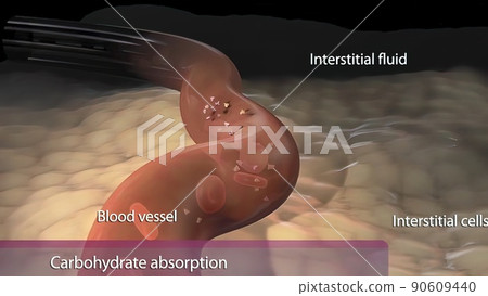 In the small intestine, pancreatic amylase begins to break down polysaccharides into disaccharides. In the small intestine, pancreatic amylase begins to break down polysaccharides into disaccharides. 90609440