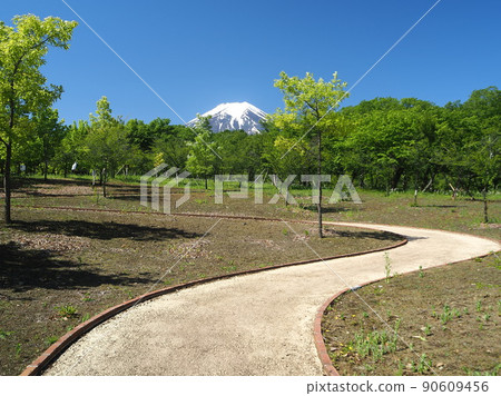 山梨縣新鮮綠色富士步行公園初夏 山梨縣新鮮綠色富士步行公園初夏 90609456