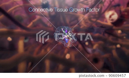 Connective Tissue Growth Factor promotes the proliferation and differentiation of chondrocytes. 90609457