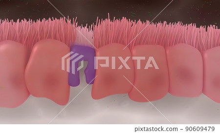 Intestinal villi with bacteria and viruses. Intestinal villi with bacteria and viruses. 90609479