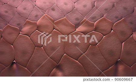 Skin cancer 3D illustration.Tumor growing under skin tissue Skin cancer 3D illustration.Tumor growing under skin tissue 90609667