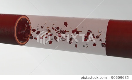 Cardiovascular System Human Blood Arteries And Veins 90609685