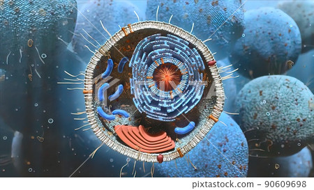 Cell structure and components, mitochondria, nucleus and cytoplasm Cell structure and components, mitochondria, nucleus and cytoplasm 90609698