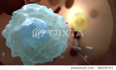 Cells immune that fight the virus 90609701