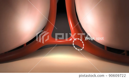 Red blood cells in blood vessels passing through blood circulation 90609722