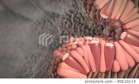 Cancer medical or health problems. 90610219