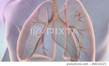 Awareness of lung cance,asthma, COPD, pulmonary hypertension, world no tobacco day  90610225