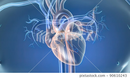 Cardiac catheterization is a procedure used to diagnose and treat certain cardiovascular conditions Cardiac catheterization is a procedure used to diagnose and treat certain cardiovascular conditions 90610243