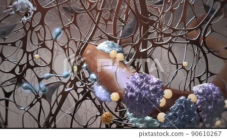 Microbiology illustration cells that protect the immune system Microbiology illustration cells that protect the immune system 90610267
