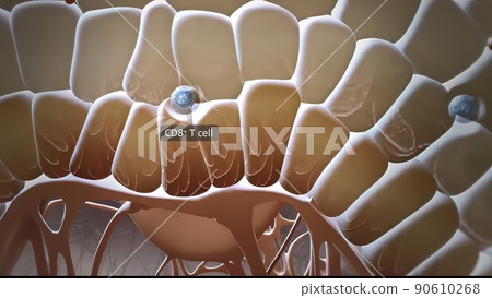 Microbiology illustration cells that protect the immune system 90610268