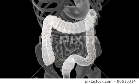 Colonoscopy Biopsy Of The Gastrointestinal Tract In Patients 90610314