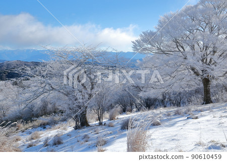 Frozen snowy mountain scenery on a midwinter morning (Chausuyama, Toyone Village, Aichi Prefecture) 90610459