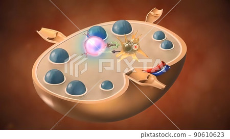 T-Cells Attacking An Epanding Cancer Cell Dendritic Cells Attach On Cancer 90610623