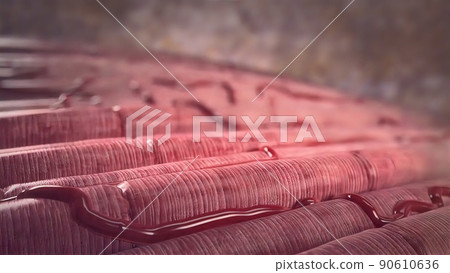 Cardiac Muscle cells 3d medical Cardiac Muscle cells 3d medical 90610636