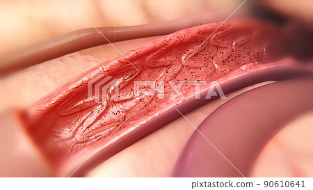 Circulatory System and the Way of Blood from the Heart Circulatory System and the Way of Blood from the Heart 90610641