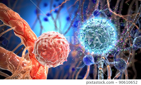 T helper cells interact on the surface of immune cells T helper cells interact on the surface of immune cells 90610652