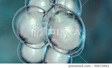 Cell Division or Cloning Cells 90610662