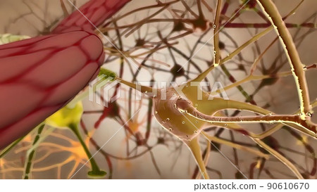 Microglia and macrophages of the central nervous system Microglia and macrophages of the central nervous system 90610670