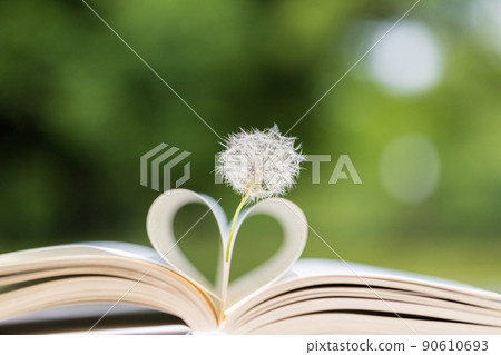 Landscape of books and dandelion seeds on a table in the summer garden Landscape of books and dandelion seeds on a table in the summer garden 90610693